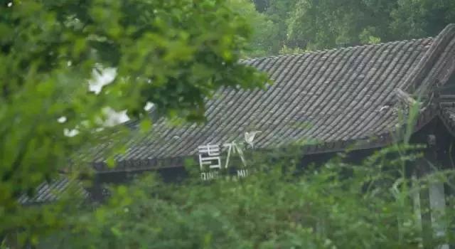 外婆家设计师沈雷作品,设计师沈雷