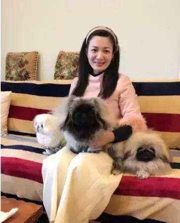 她当红时息影如今风韵犹存,她当红时息影经商成富婆