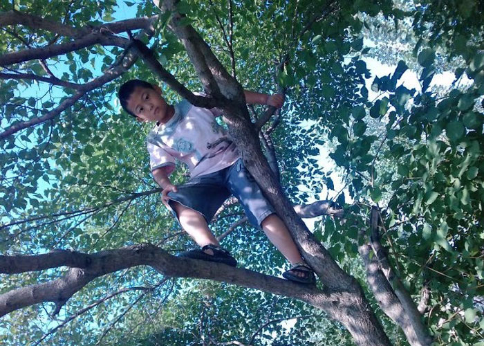 令人恐怖的农业害虫,农村惹人厌的植物