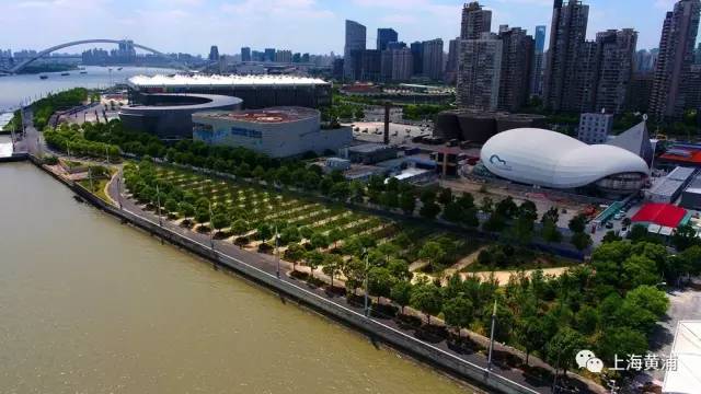 黄浦滨江和徐汇滨江跑步,上海欢乐健康跑