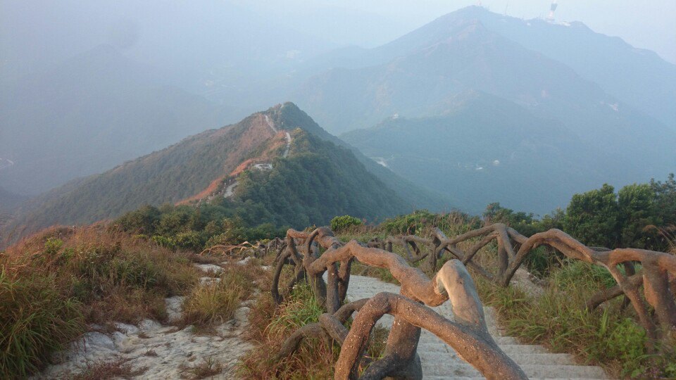 生活在深圳任何地方都很惬意,生活在深圳