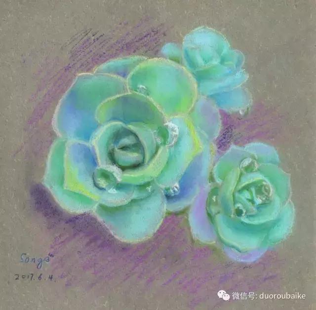 多肉手绘作品,寻找最美中国人绘画