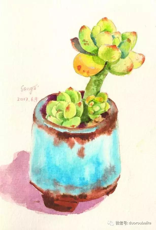 多肉手绘作品,寻找最美中国人绘画