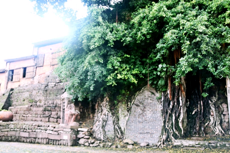 陪伴就是最长情的告白，周末，带儿子到佛山“小台湾”度个假