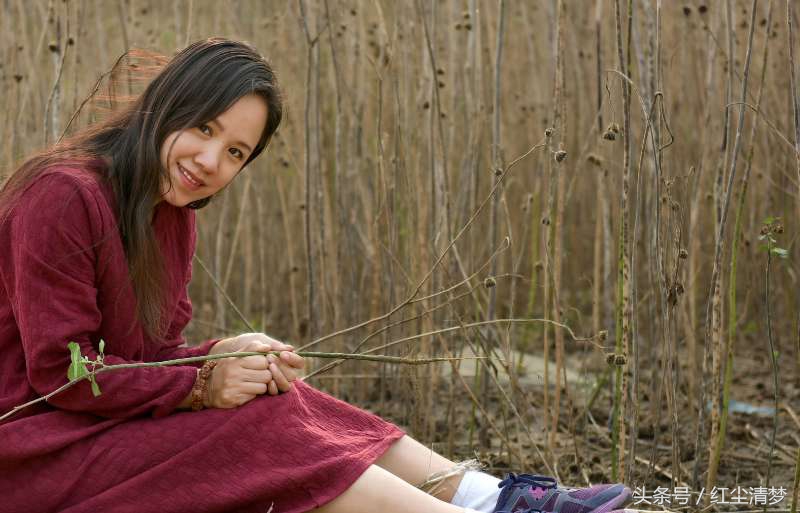 岁月如歌美人仍然的诗句,岁月如斯美人仍然