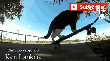 这个网红靠滑板征服全人类？咳咳是时候承认活得不如猫了