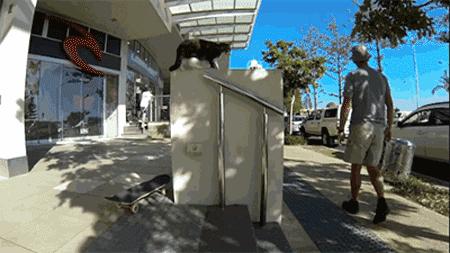 这个网红靠滑板征服全人类？咳咳是时候承认活得不如猫了