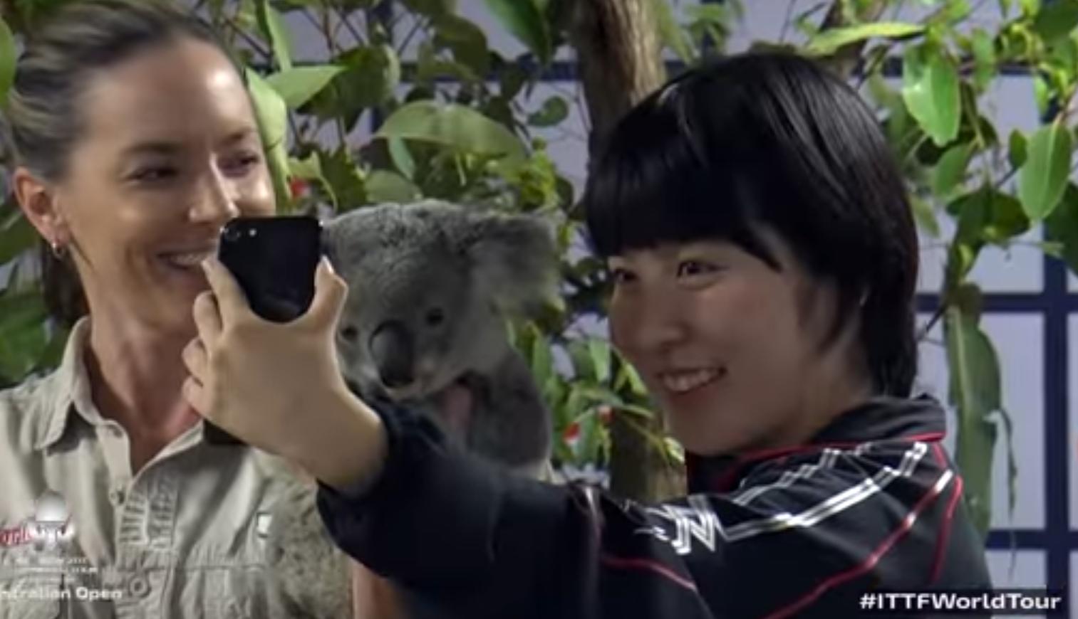 澳洲公开赛乒乓球丁宁与孙颖莎,澳洲公开赛陈梦与王曼昱比赛
