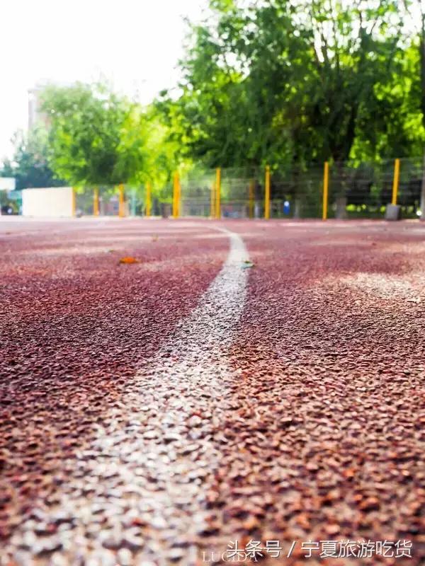 银川二中是什么档次,银川二中简介及分析