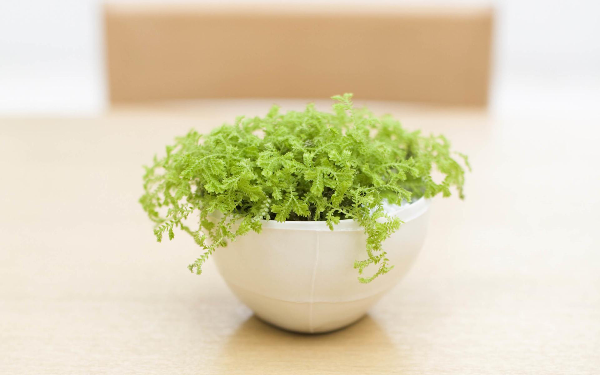 职场生活好物,职场必备好物