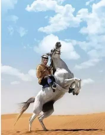 最帅迪拜王子哈曼丹,哈曼丹和威廉王子