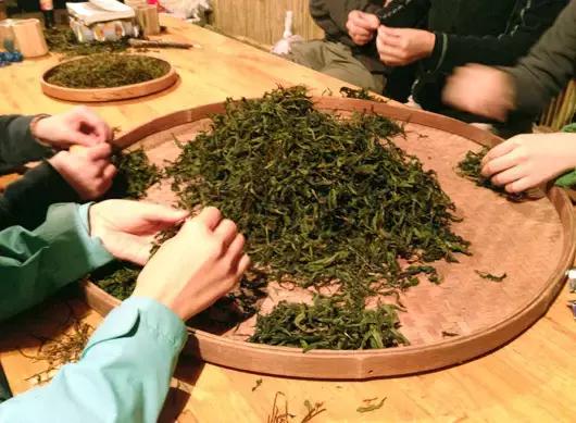 对于岩茶，拣茶梗究竟有多重要？