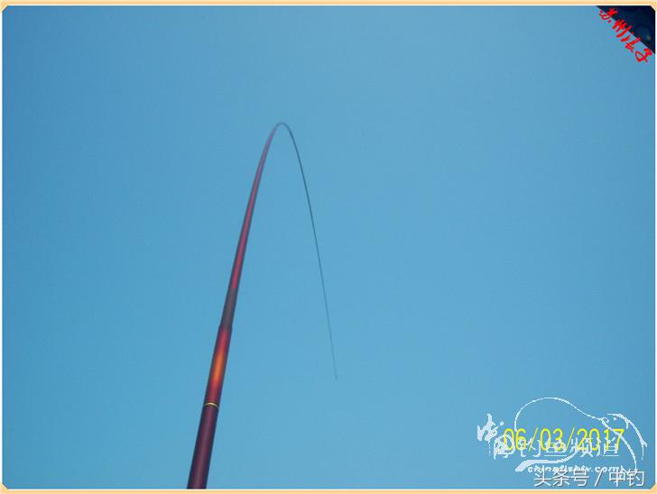 先分后合，爽钓半天