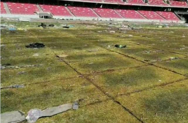 张学友演唱会草坪被踩坏,张学友取消3场演出