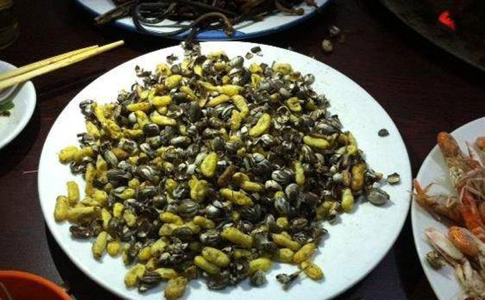 令人恐怖的农业害虫,农村惹人厌的植物