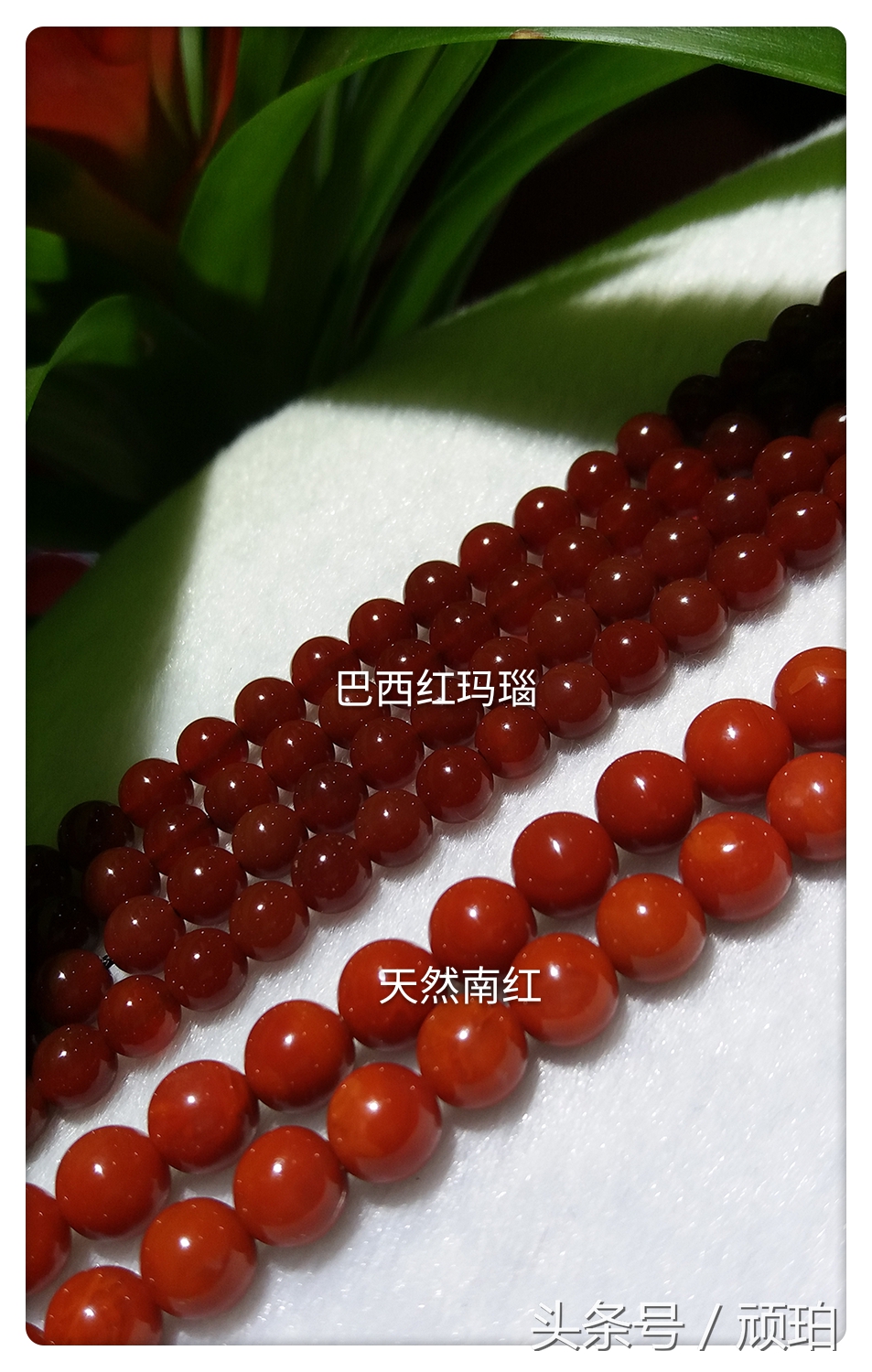 玛瑙无红一世穷的意思,玛瑙无红一世穷下一句