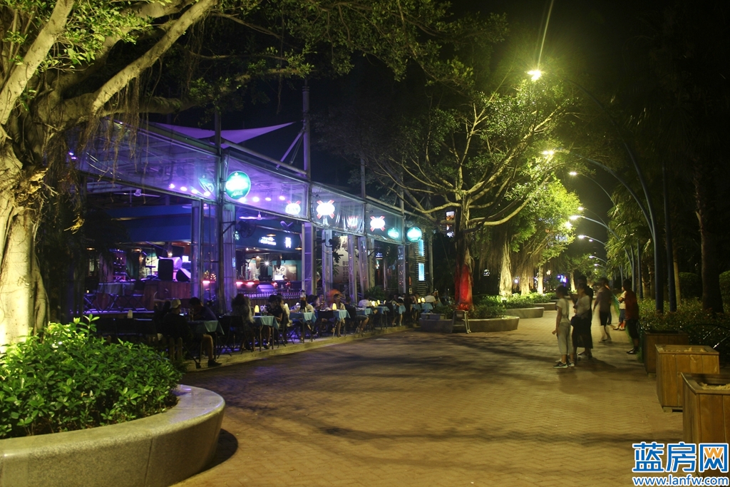 厦门海湾公园蓝眼泪最佳观赏时间,厦门看海滩哪里最好