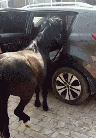 我愿成佛，佛不要我，潇洒一回又如何