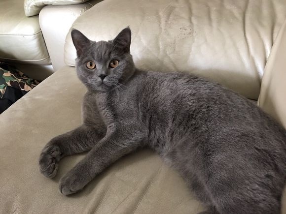 鹿晗和粉丝的一个约定,鹿晗写给粉丝的信