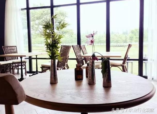 农场经营模式成功案例,农场经营模式和思路