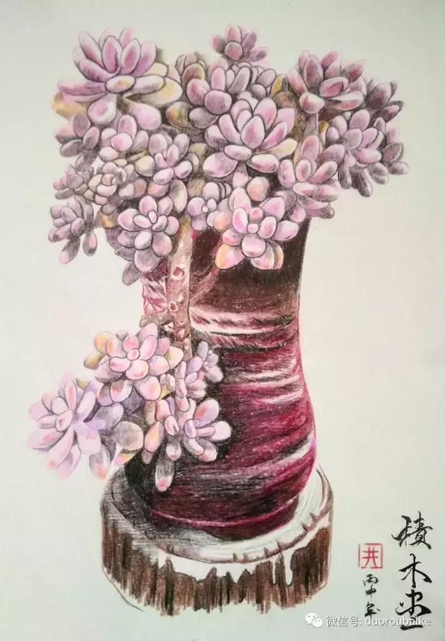 多肉手绘作品,寻找最美中国人绘画