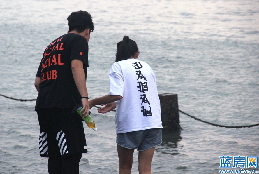 厦门海湾公园蓝眼泪最佳观赏时间,厦门看海滩哪里最好