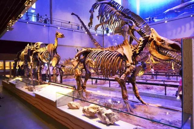 广州地铁景点最多的线路,广州地铁沿线有哪些好玩的