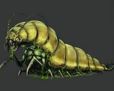 中了苗疆蛊会有什么样子,苗疆人真的会下蛊吗