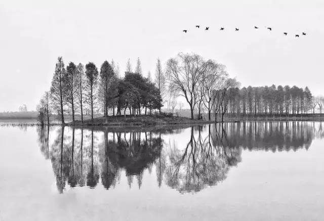 原来用手机就能拍出这么美的照片,手机拍出来最美的照片