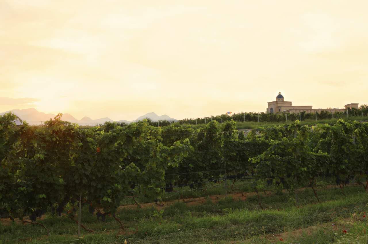 我在生命湖酒店吃了顿“横”的，厨师是奥运会的特级“选手”