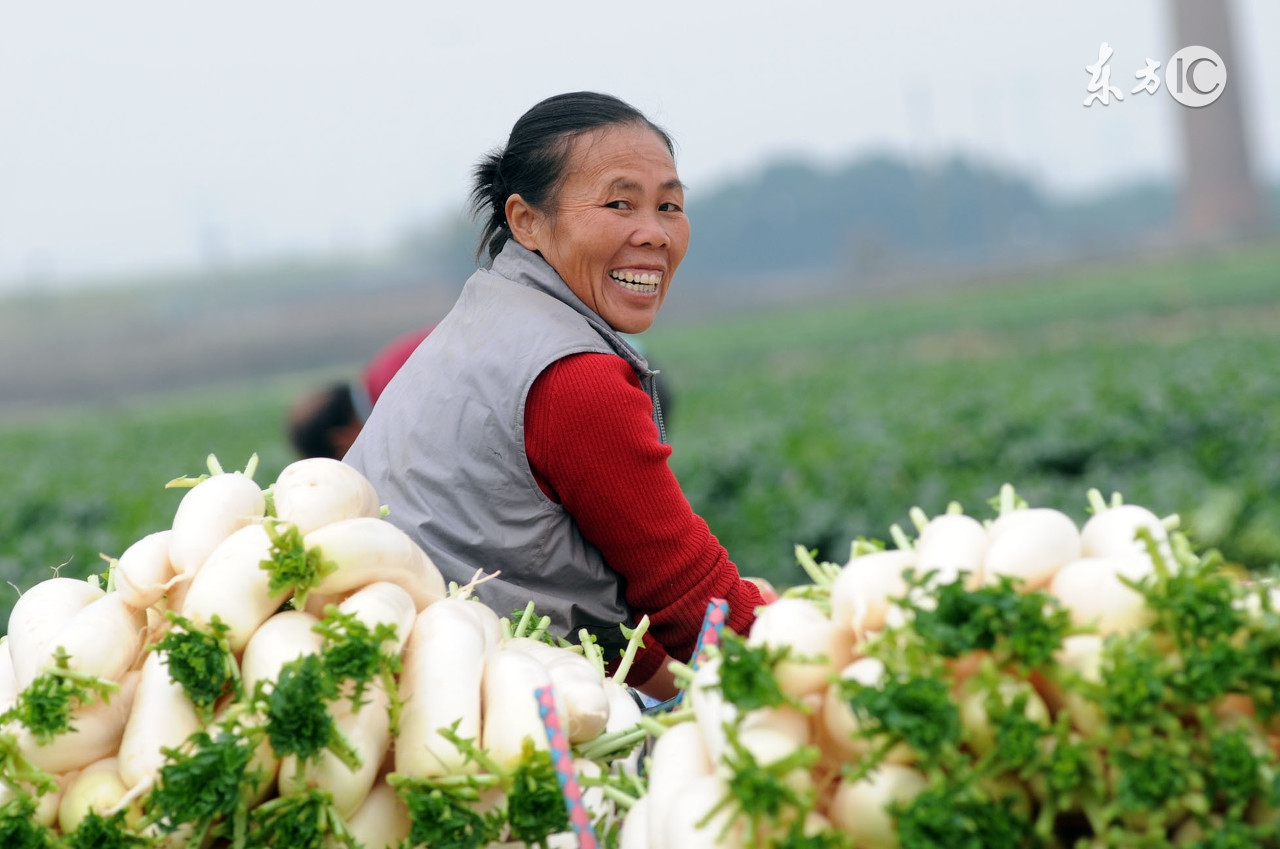 农村养老保险到多大年龄能领钱,农村养老保险多大可以领钱