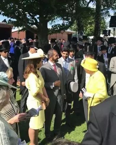 最帅迪拜王子哈曼丹,哈曼丹和威廉王子