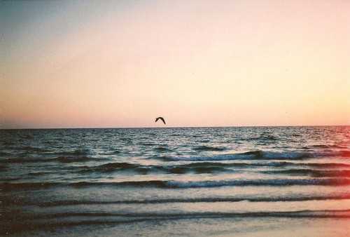 简单易懂的新手理财技巧,理财教程新手入门