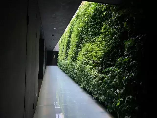 外婆家设计师沈雷作品,设计师沈雷