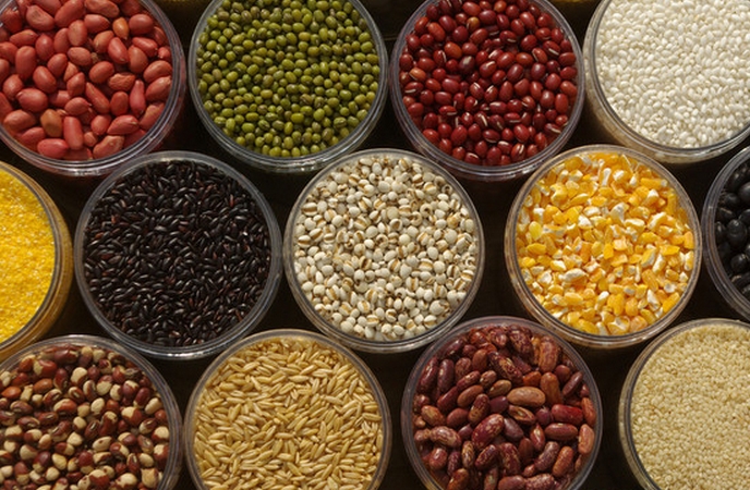 为什么红豆容易生虫,红豆生虫是怎样的