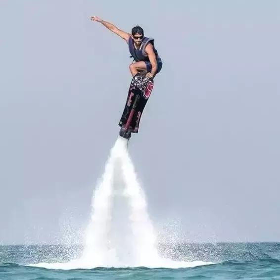 最帅迪拜王子哈曼丹,哈曼丹和威廉王子