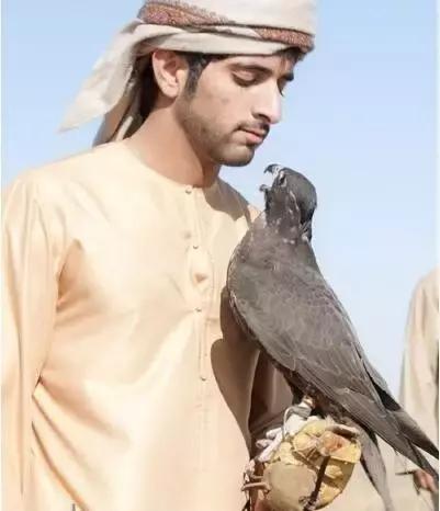 最帅迪拜王子哈曼丹,哈曼丹和威廉王子