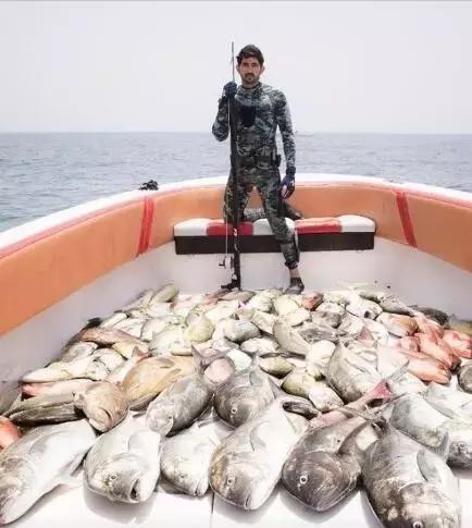 最帅迪拜王子哈曼丹,哈曼丹和威廉王子