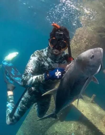 最帅迪拜王子哈曼丹,哈曼丹和威廉王子