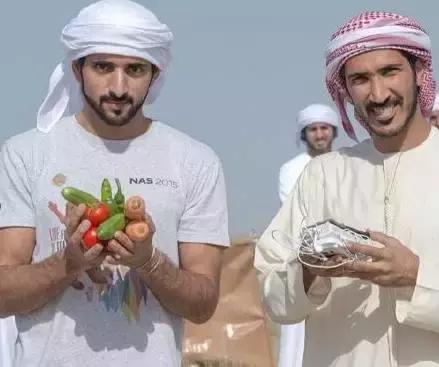 最帅迪拜王子哈曼丹,哈曼丹和威廉王子