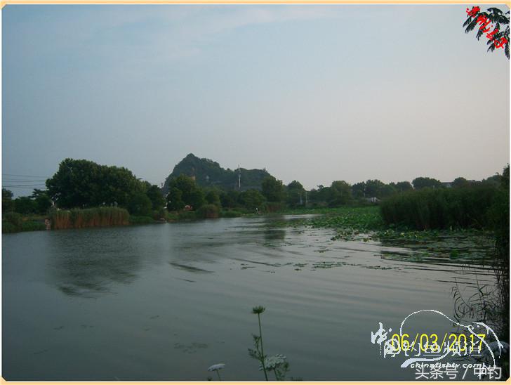 先分后合，爽钓半天