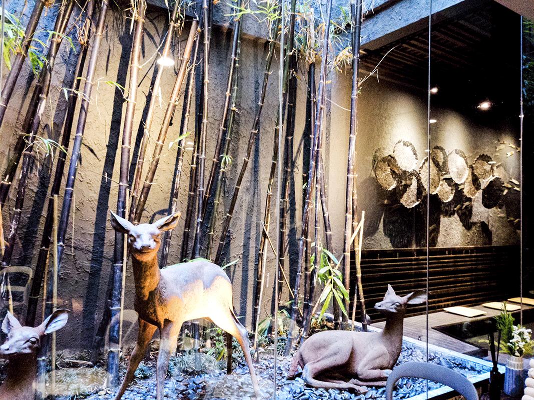 曼谷夜生活游记,泰国曼谷旅行攻略图片高清