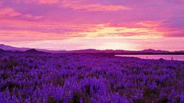 出门旅游如何看日出日落,一个人去看日落是怎样的体验