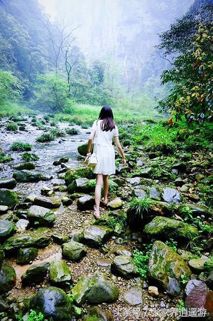 张家界旅游关注仙人跳,张家界旅游的关注事项