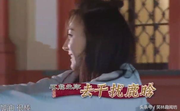 迪丽热巴鹿晗陈赫综艺,迪丽热巴被撕名牌