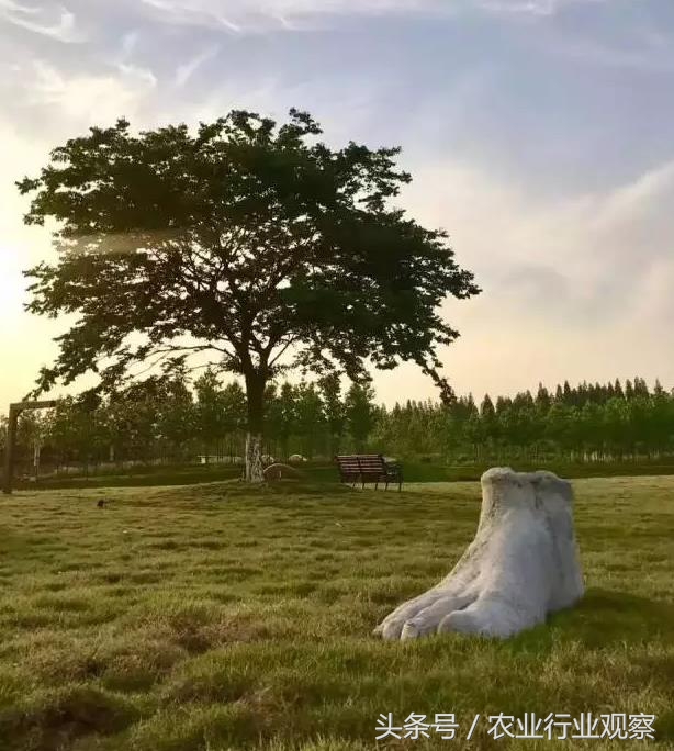 农场经营模式成功案例,农场经营模式和思路