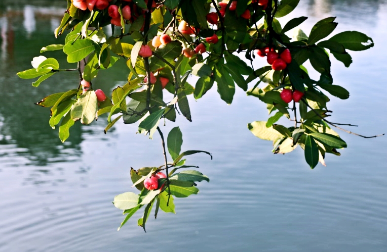 陪伴就是最长情的告白，周末，带儿子到佛山“小台湾”度个假