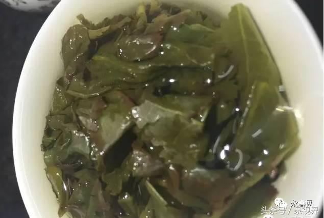 揭秘“一壶好茶”背后的点滴沉淀—永春网专访永春水仙茶王黄金友