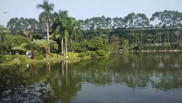 广州地铁景点最多的线路,广州地铁沿线有哪些好玩的