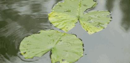 外婆家设计师沈雷作品,设计师沈雷